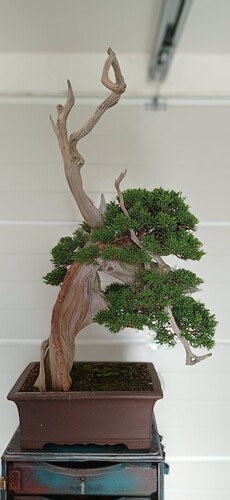 IMG_20240809_163404