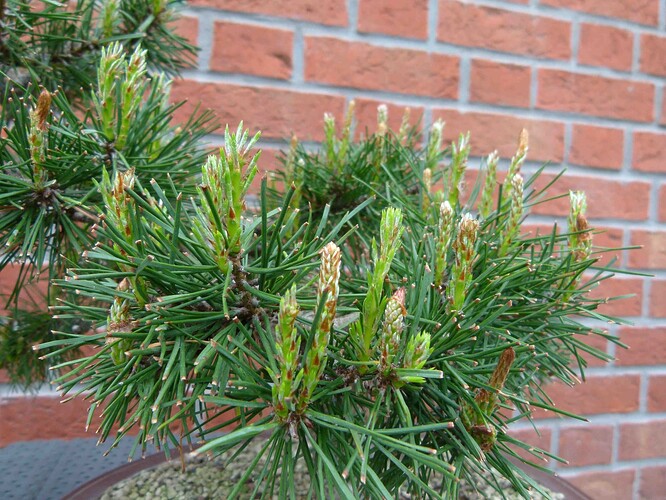 P1160259