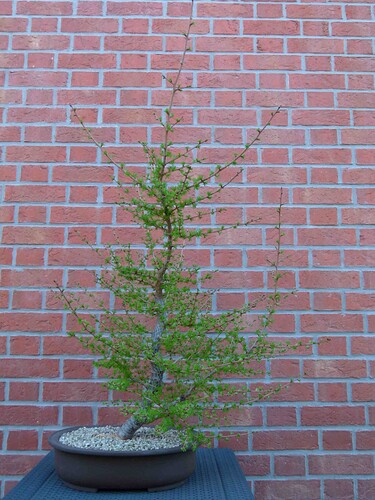 P1160238