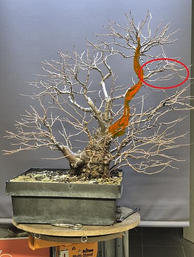 2955a0484d4f2d48a403e7cf265bf43e670dc191