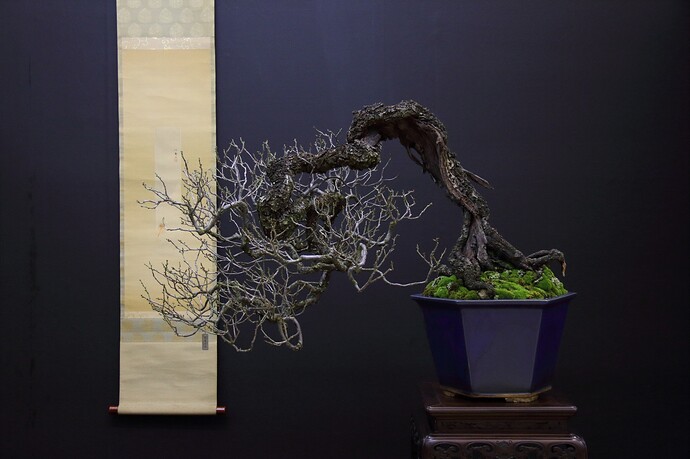 469519492_8650138168431697_4816108900387657300_n