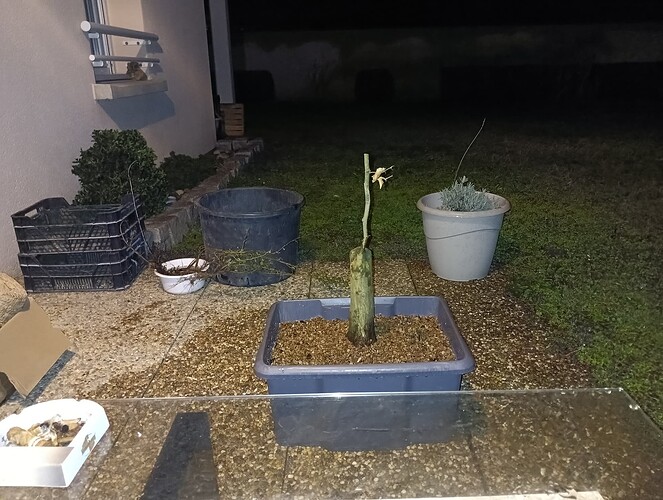 IMG_20231206_200937_791