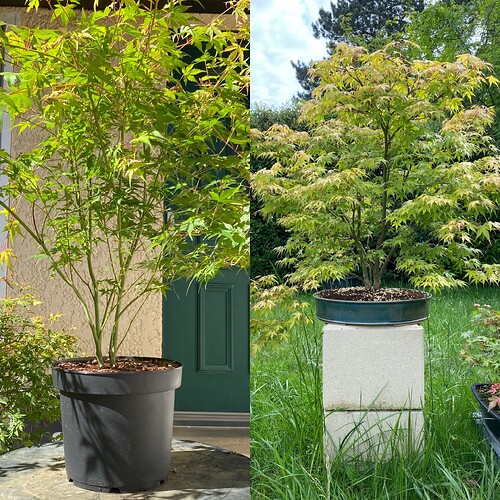 69970166-77CD-47B7-8DB1-C2AB7E1AA328