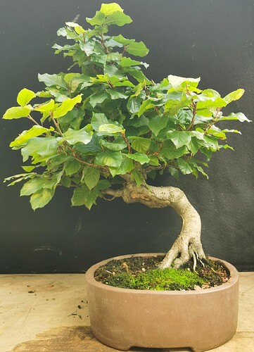 2023-08-21-16-40-09-114