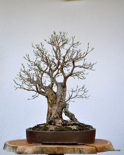 DSC_7137.jpg