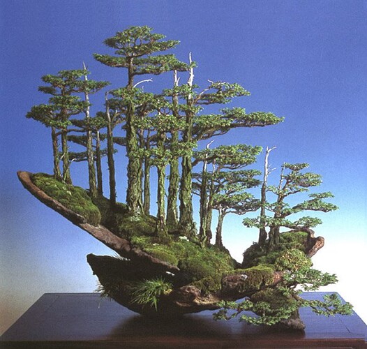foret kimura