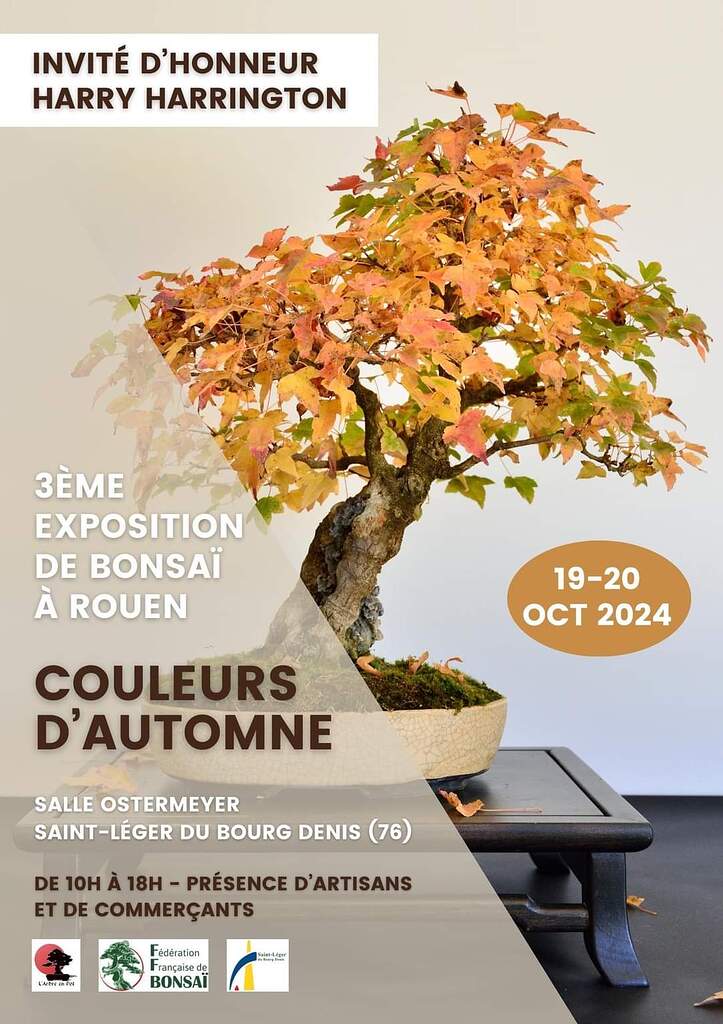 Exposition bonsaï "Couleurs d'automne" les 19 et 20 octobre 2024