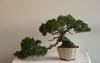 IMG_0883c