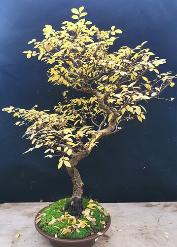 2023-12-10-16-40-01-064