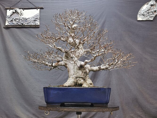 465928060_1208829193555461_1294501468099289708_n