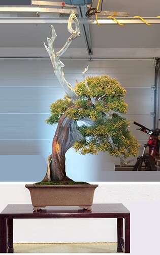 ___________DSCN25virt2