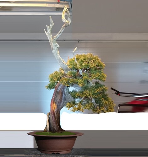 ___________DSCN25virt3