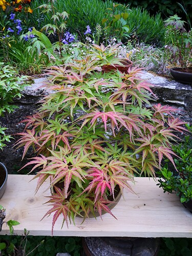 a0b60fc2-7564-45c9-8b4c-283569a6cc81-1_all_36093