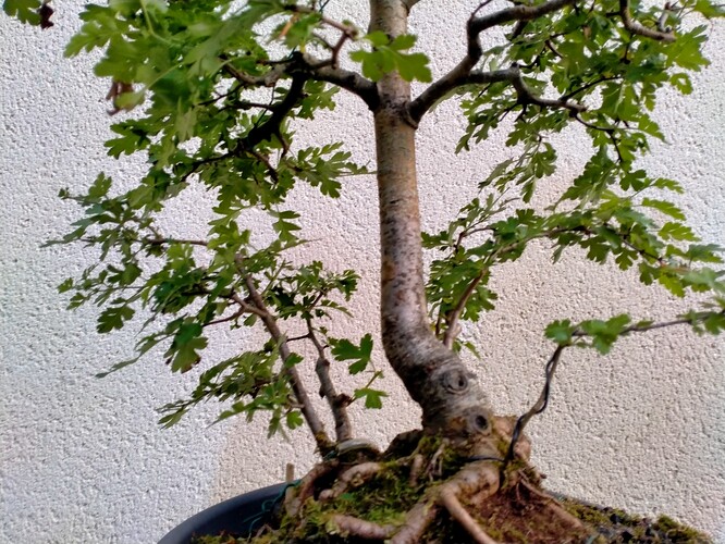 IMG20240605214837