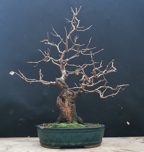 2023-12-10-16-44-27-143