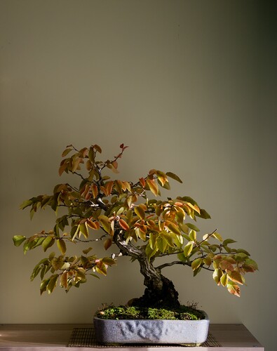 P1190272