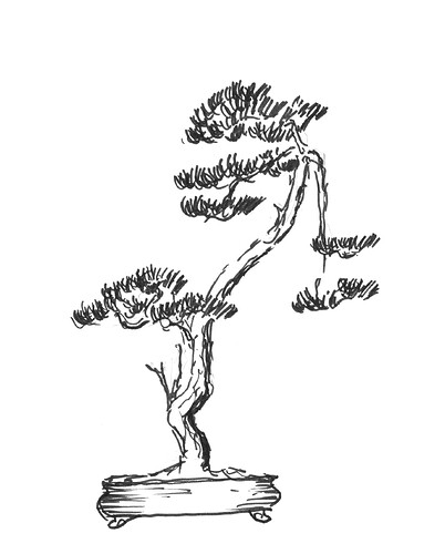 PinsylvestreMarc40