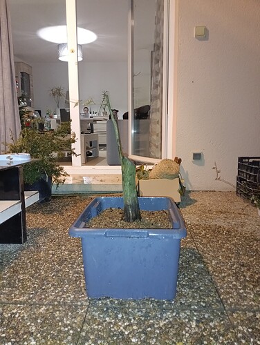 IMG_20231206_201001_214