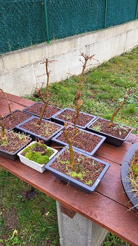 20250128_092434_resized