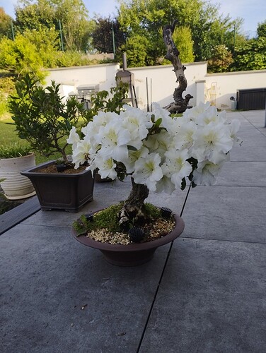 image000001