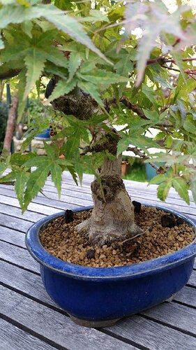 a0b60fc2-7564-45c9-8b4c-283569a6cc81-1_all_51909