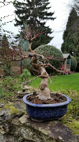 a0b60fc2-7564-45c9-8b4c-283569a6cc81-1_all_51873