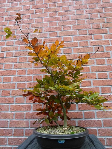 P1180047