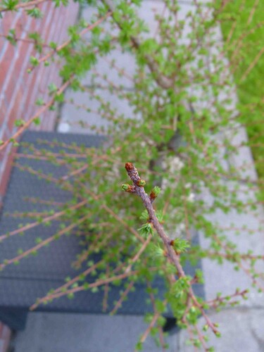 P1160240