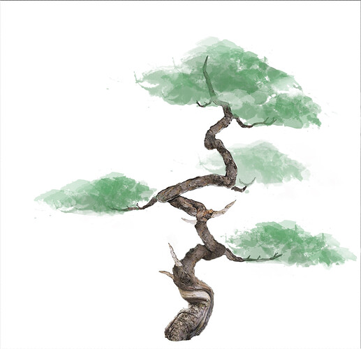 juniperus 21 10 2023 (1) copie