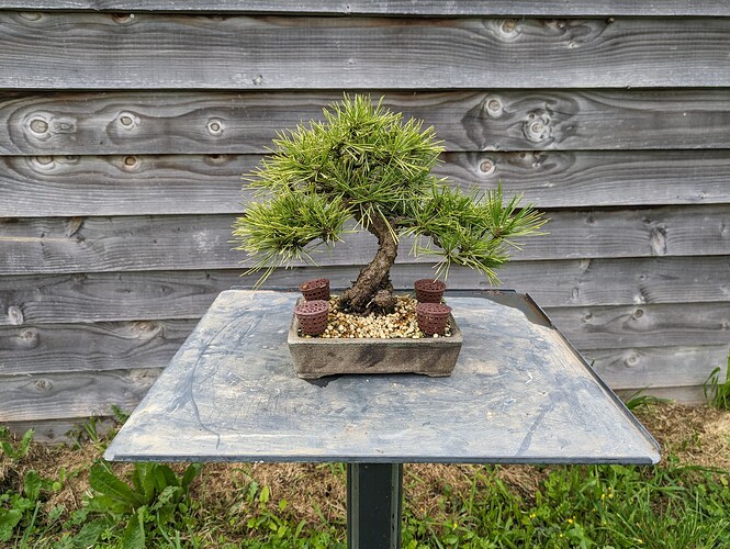 PXL_20240404_160259279