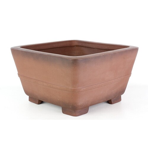 maceta-bonsai-yixing-sem-668a (2)