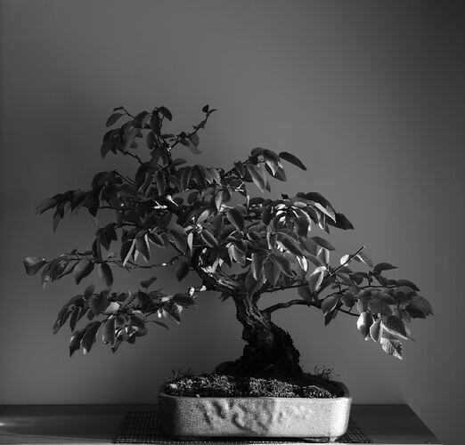 P1190272