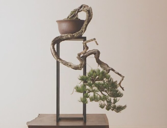 ______capture ryan40