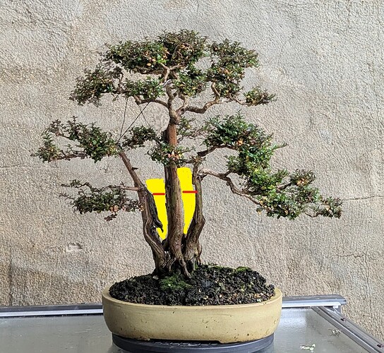 1d777fc5ead6adbe1a897f078fac379ac906f0695