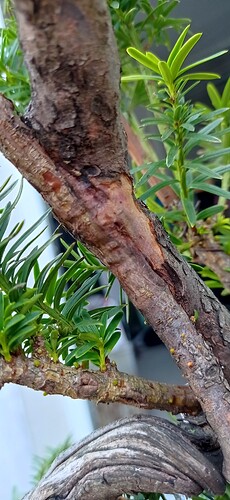 IMG_20240831_111345