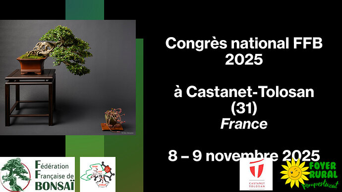 Capture plein écran 21112024 123336