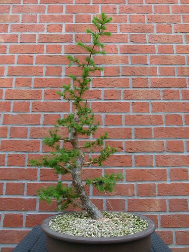 P1160301