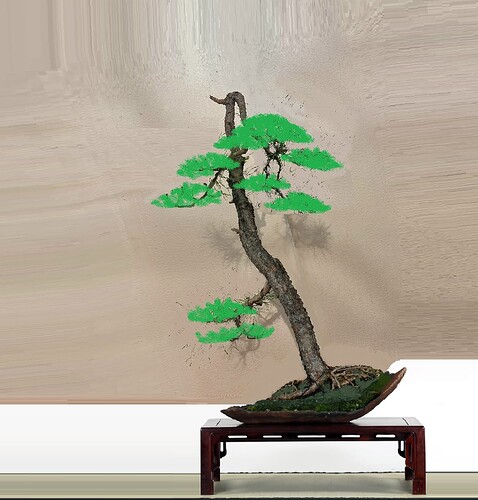 ________DSCN37virt4-2