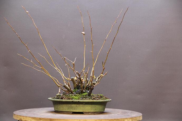 post-52126-0-23700700-1673776289