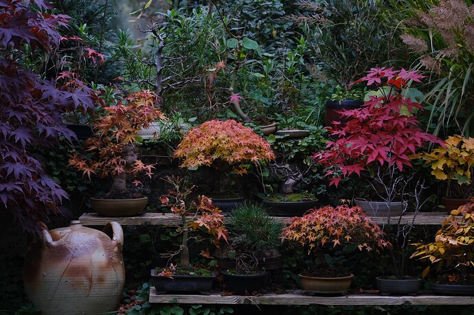 1000038919