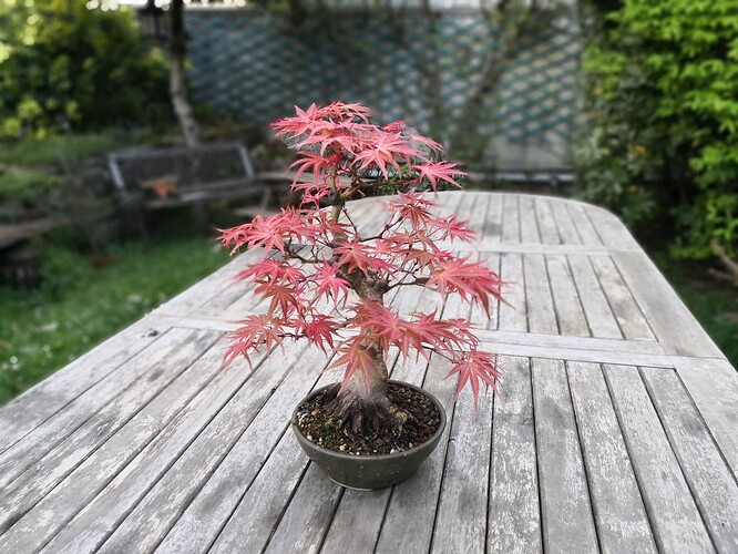 a0b60fc2-7564-45c9-8b4c-283569a6cc81-1_all_44724