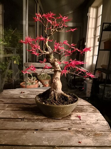 a0b60fc2-7564-45c9-8b4c-283569a6cc81-1_all_45342