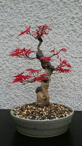 a0b60fc2-7564-45c9-8b4c-283569a6cc81-1_all_51811