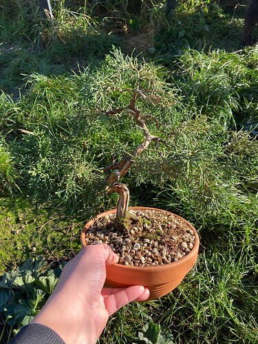photo_5