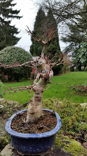 a0b60fc2-7564-45c9-8b4c-283569a6cc81-1_all_51875