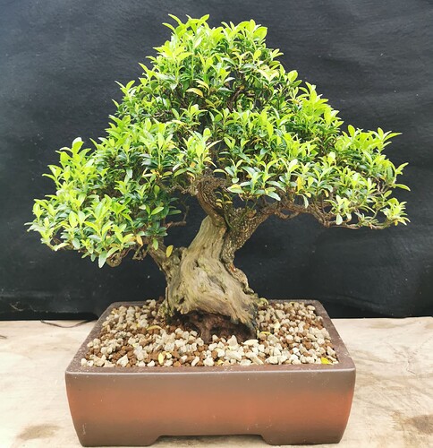 2024-03-12-17-16-01-336