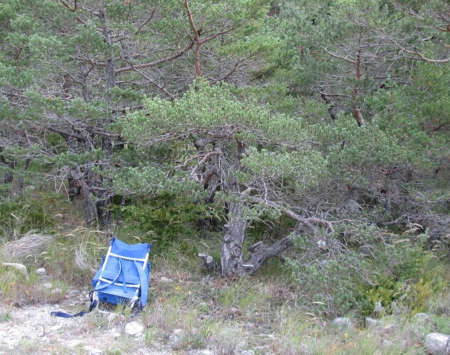 pin sylvestre 2018 10 03 028