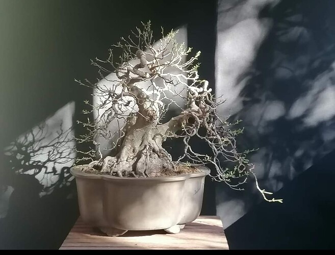 Screenshot_20240506_113202_com.facebook.katana_edit_202083563825413