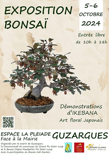 Affiche expo Bonsai Clapas 2024