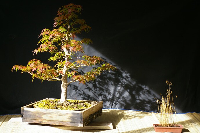 IMGP0944
